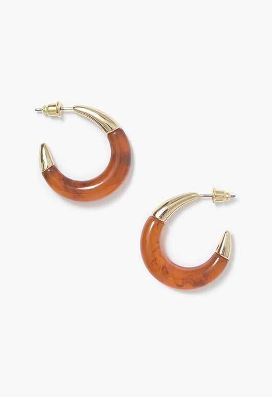 Marlee Graduated Resin Tube With Metal Cap Earring Brown/ Gold